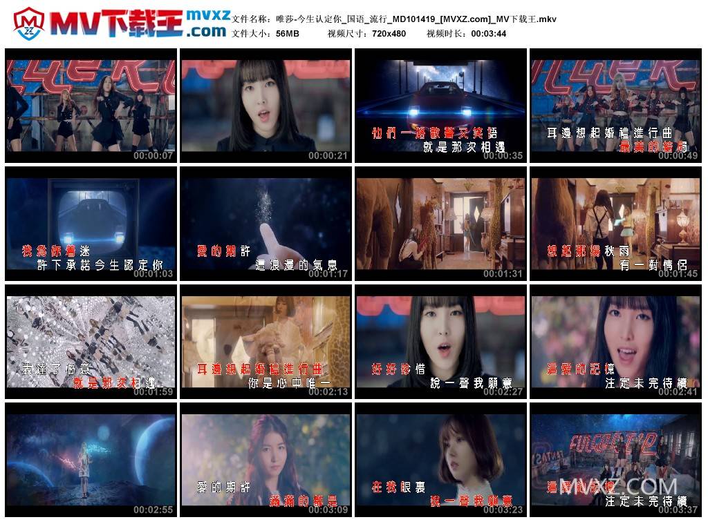 唯莎-今生认定你_国语_流行_MD101419